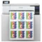 Impresora de sublimación Epson SureColor F570 original